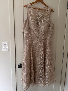 Jessica Howard Blush Lace Fit & Flare Dress